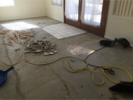 RL Construction Project 
